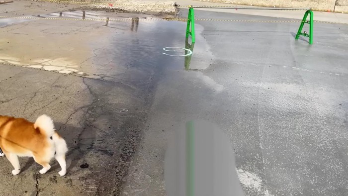 「こっちがあったか…」