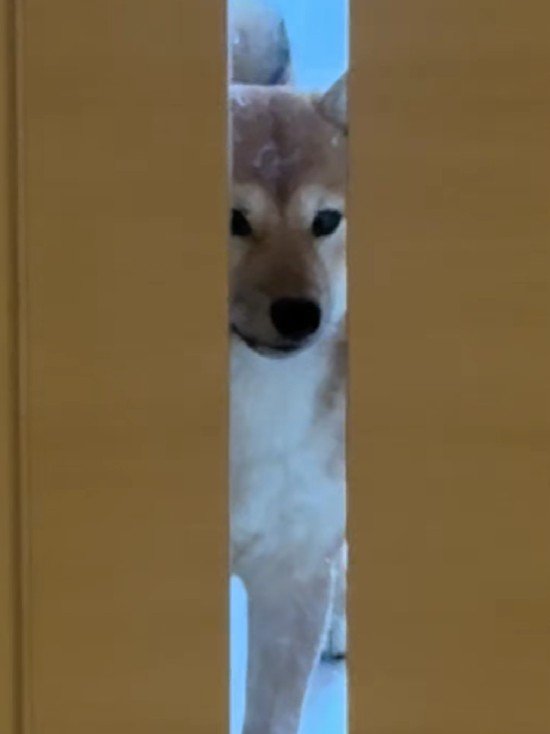 仕事をやめたくなっちゃった!?