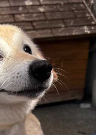 赤ちゃん