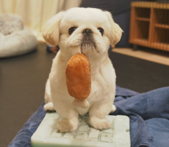 あざとい仕草
