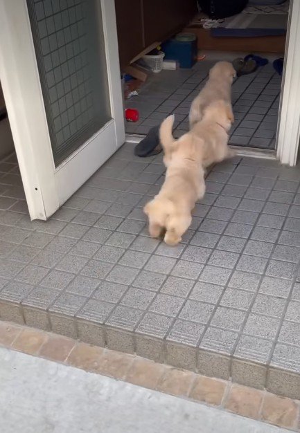 大急ぎで家の中へ