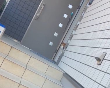 ママ