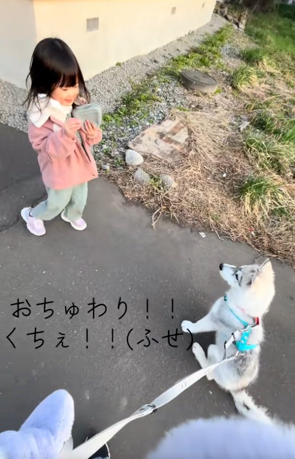 おすわりするブル君