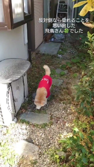 「回り道があった！」