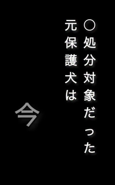 そして現在…