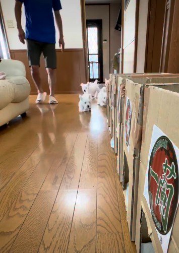 ユニークなチャレンジ♪