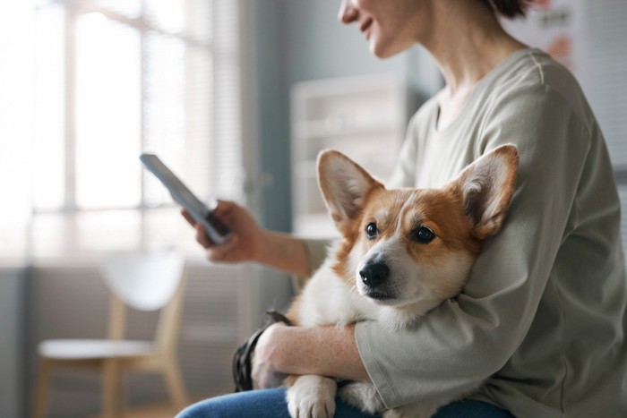 座る女性に抱っこされる犬