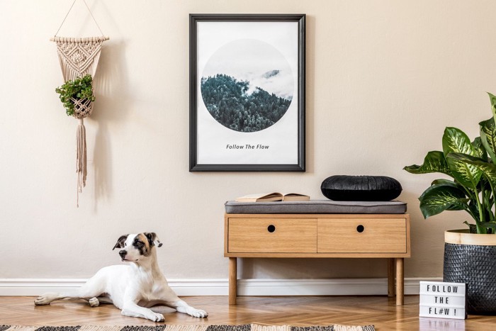 おしゃれなリビング