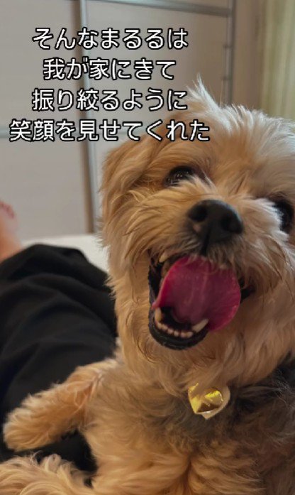まるるちゃんの変化