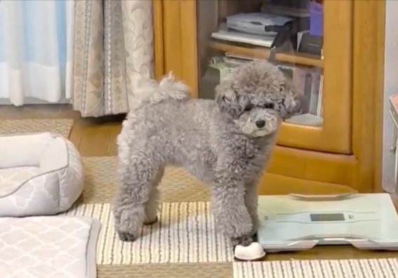 真剣な表情
