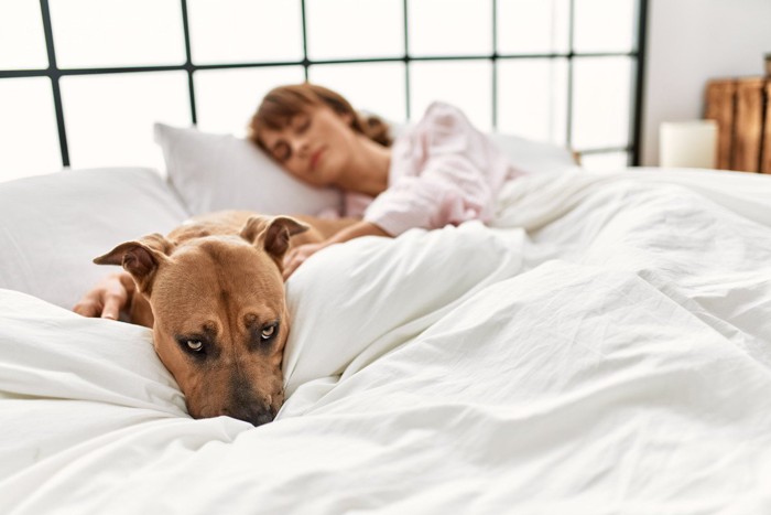 寝ている女性と犬