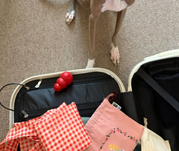 おもちゃを入れたプット