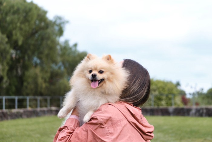 抱っこ、ポメラニアン