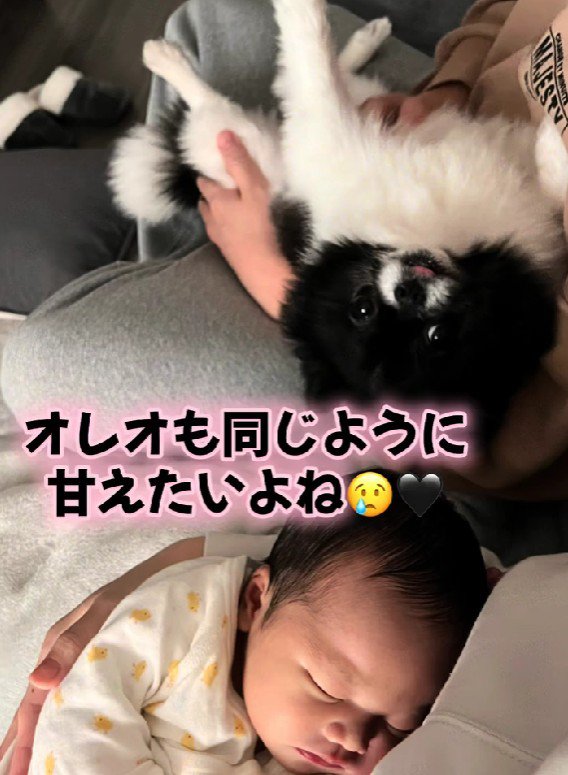 甘えたいときもあるけど…