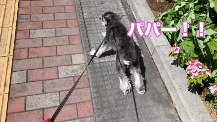 気付いた瞬間に全力ダッシュ!