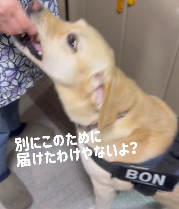 仕事のあとの報酬は美味しい♡