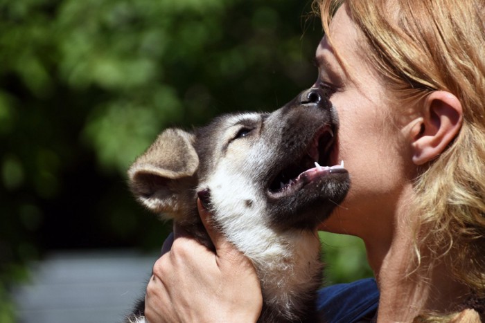 女性と犬