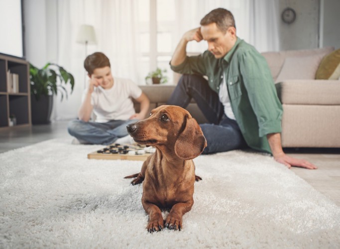 遊んでいる親子と犬