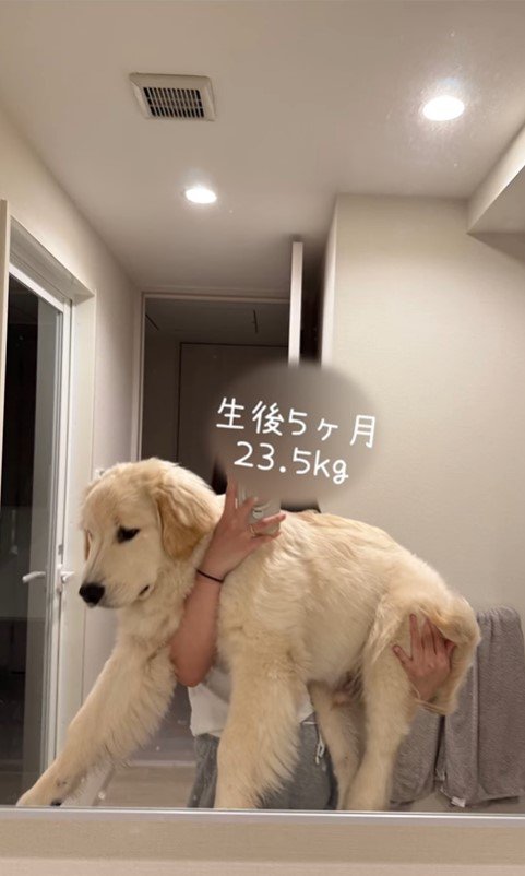 ぴの君の成長5