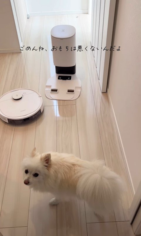 おもちちゃんとロボット掃除機10