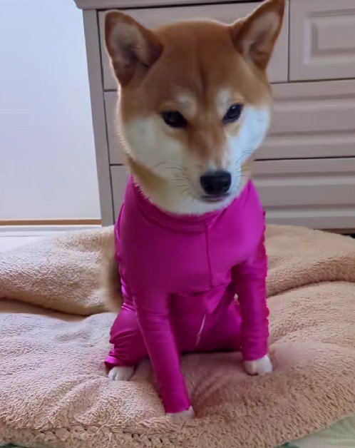 思った以上にピチピチで…