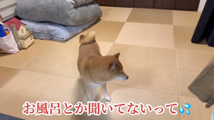 お風呂なんて聞いてない！！