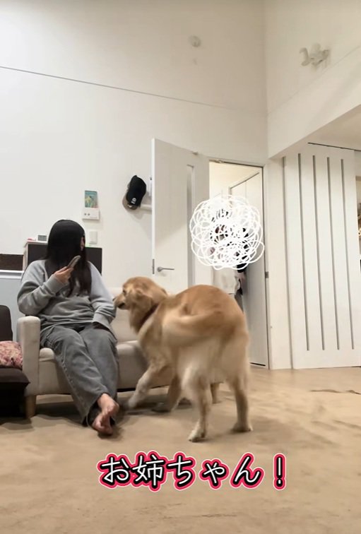 ハナコちゃんとお姉ちゃんの再会5