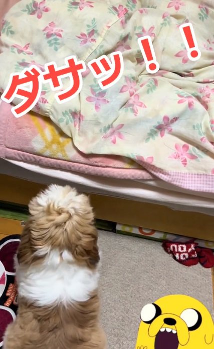 ベッドを見つめる太郎くん