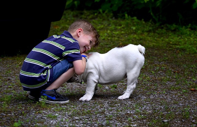 犬を愛でている子供