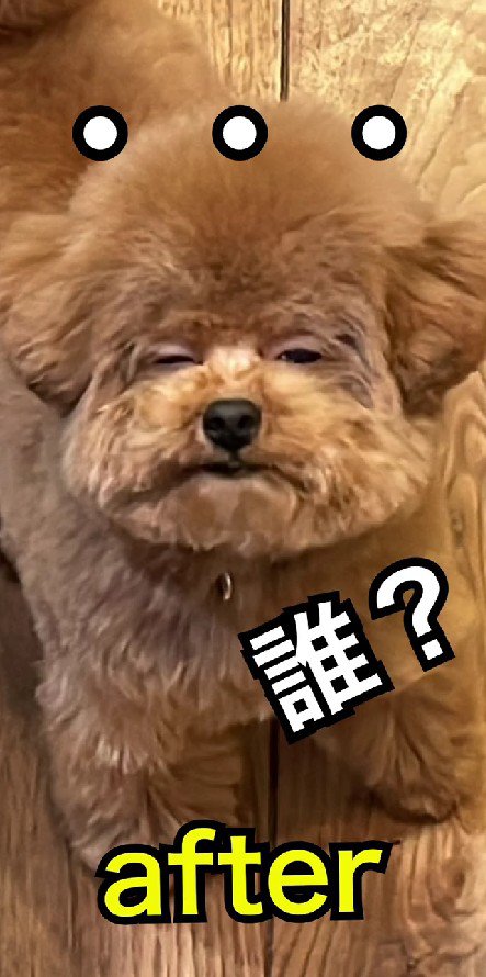 誰でしょう？