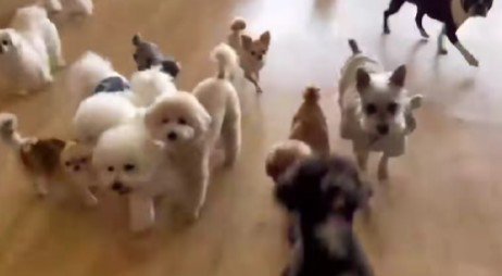 誰かが現れた…!!