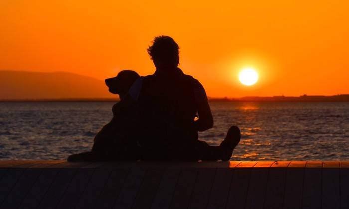 夕暮れ時の人と犬