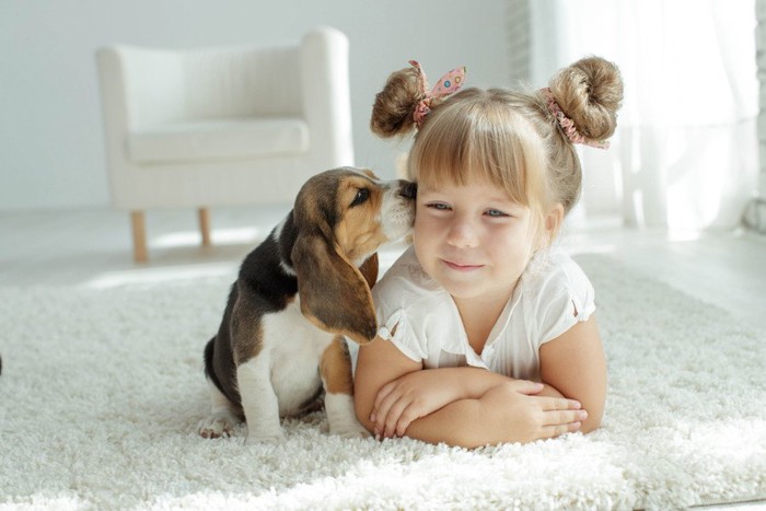 女の子の顔に近づく犬