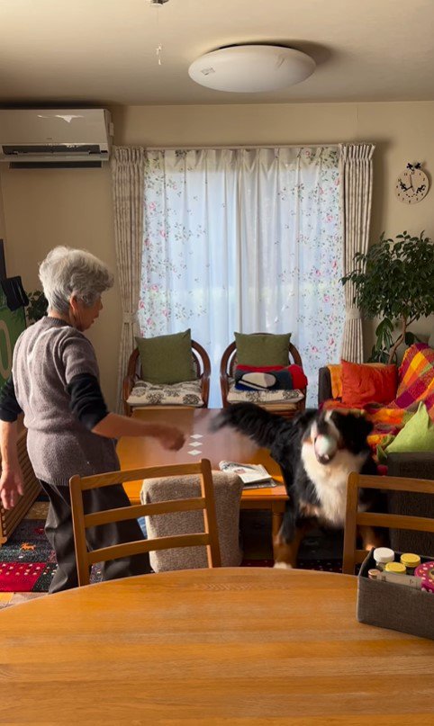 同居をはじめたリンちゃんとおばあちゃん