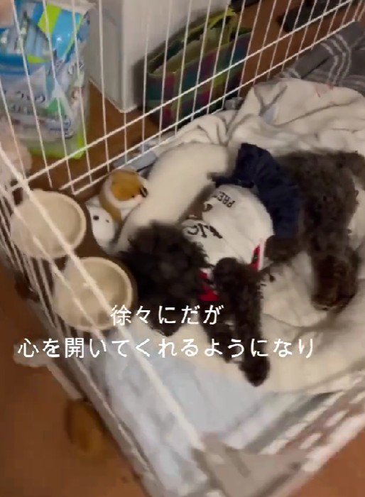 徐々に心を開いて…