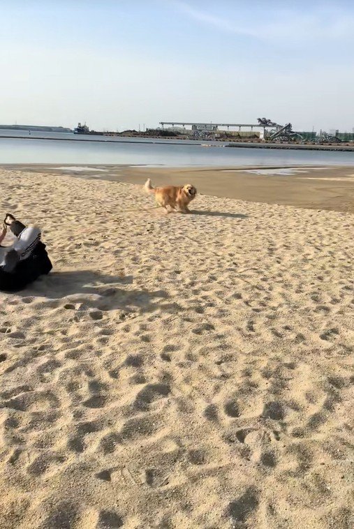 海辺でのハプニング4