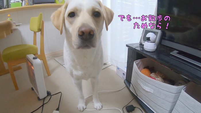 我慢しようとする姿が健気で愛おしい♡