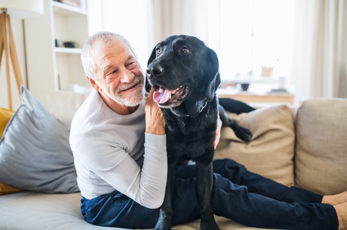 高齢の男性と黒い犬