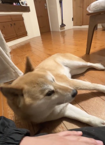 また聞こえた「おやつ」