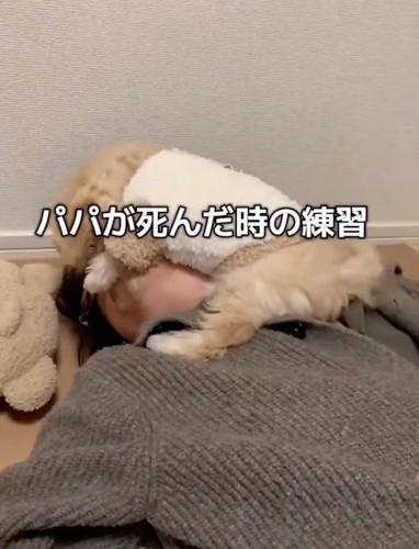 パパの顔を舐める犬