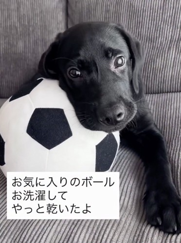 大好きな「相棒」