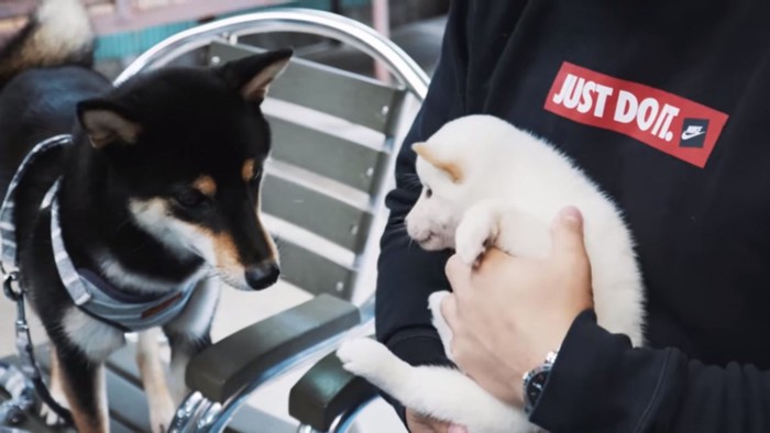 子犬を見せるリチャードさん