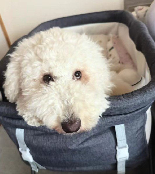 大変心地よかった模様