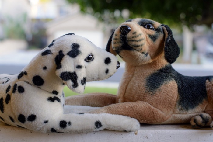 2体の犬のぬいぐるみ