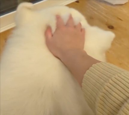 頭を
