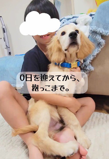 「抱っこも余裕だよ!!」