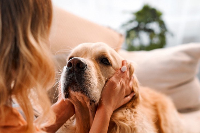 犬を抱く女性