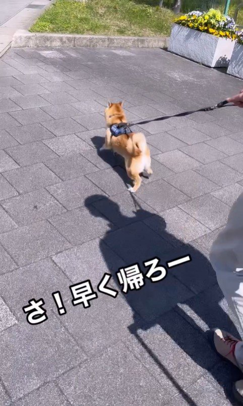 紋次郎くんとお父さんの再会⑩