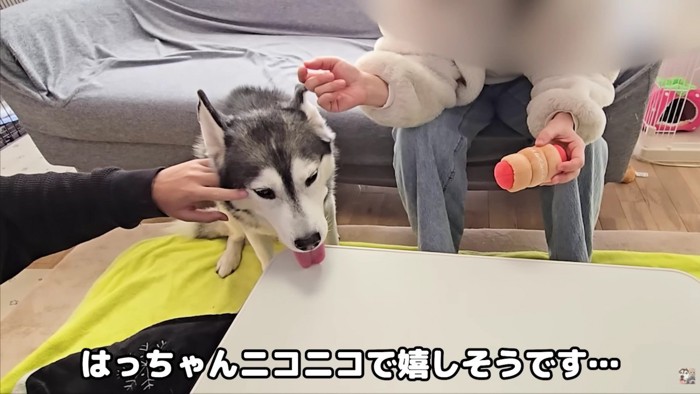 ニコニコ笑顔のはっちゃん