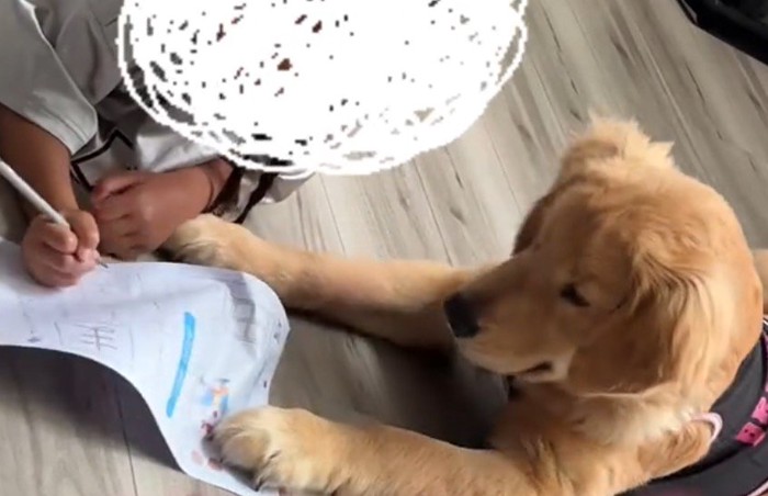 宿題の紙を押して